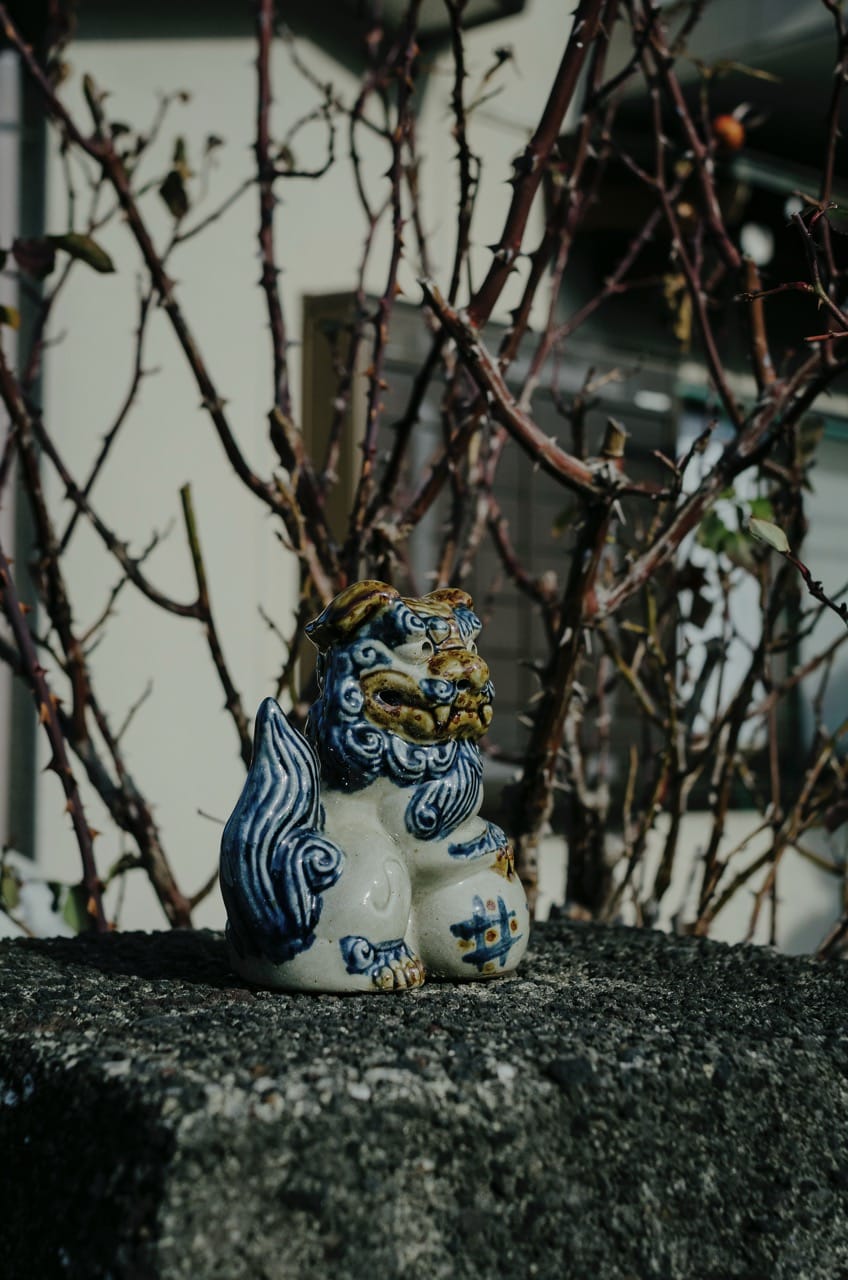 Превью Fuji 2024